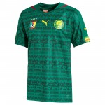 喀麦隆国家队2014世界杯球迷版主场球衣