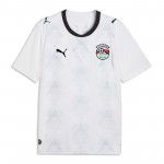 埃及国家队2026世界杯球迷版客场球衣